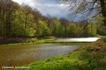 DSC_9834~0.jpg